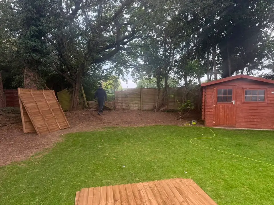 Before: old fence panels stacked against trees behind the shed